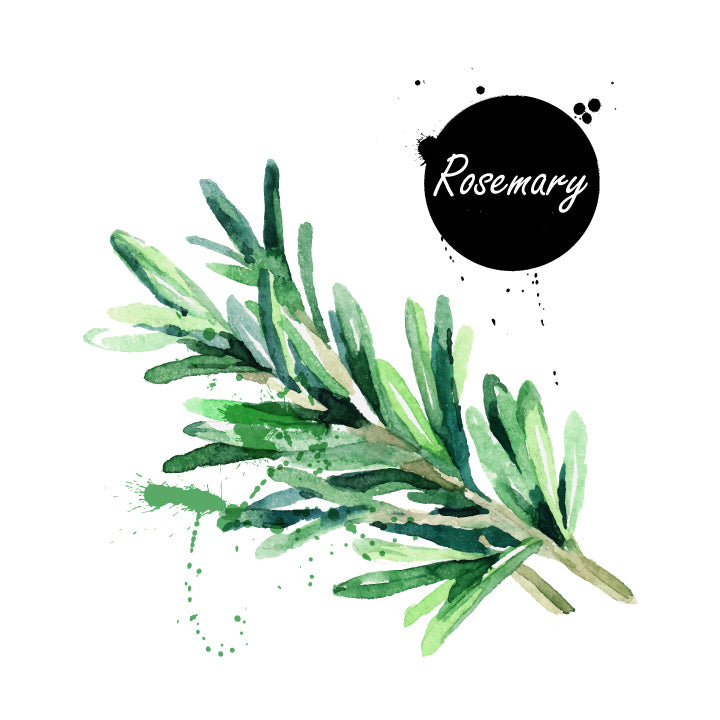 Rosemary Olive Oil 750ML