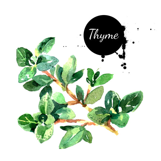 Thyme Olive Oil 200ML