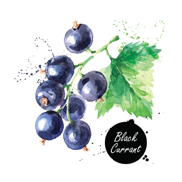 Black Currant Dark Balsamic Vinegar 200ML