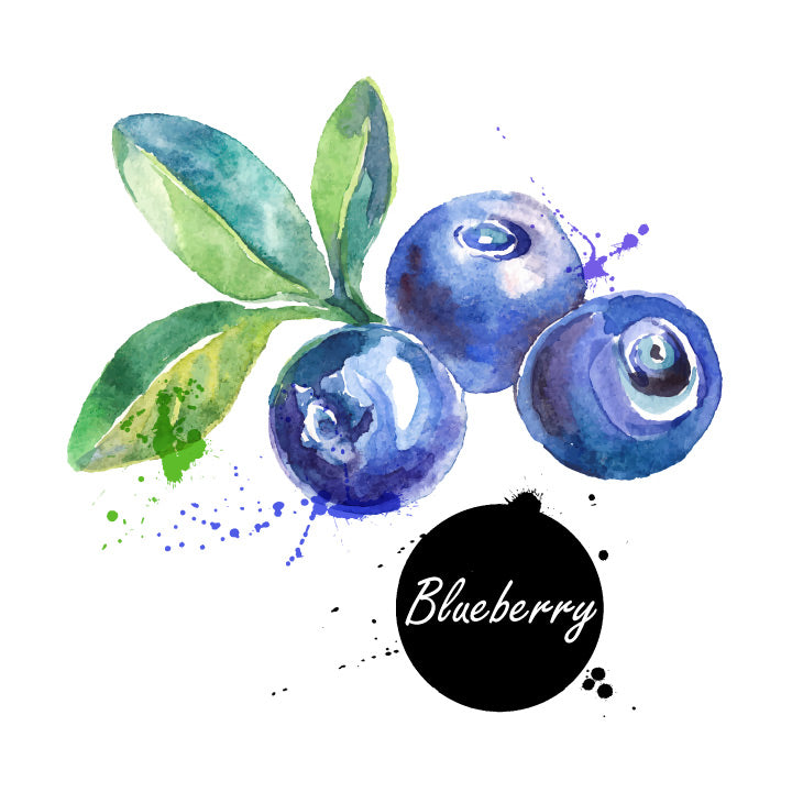 Blueberry Dark Balsamic Vinegar 200ML