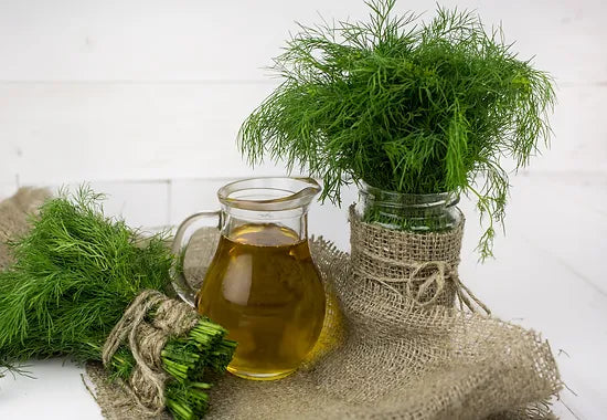 Wild Anithos Dill Olive Oil – The White Peacock Olive Oil & Vinegar Company
