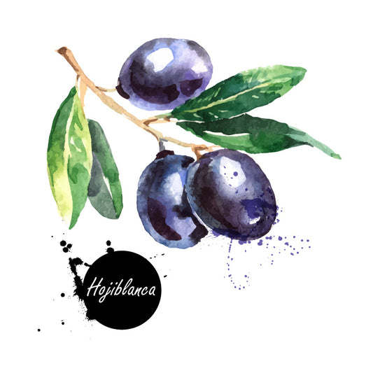 Hojiblanca Extra Virgin Olive Oil